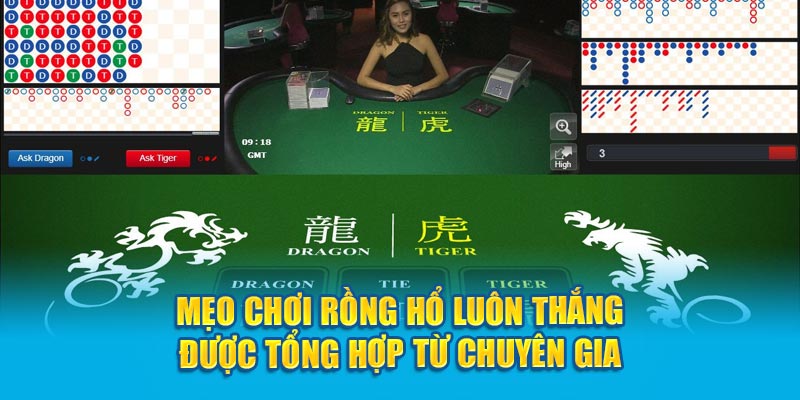 Mẹo chơi Rồng Hổ luôn thắng được tổng hợp từ chuyên gia 